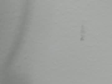 couple Live Cam Sex with katy_and_paola