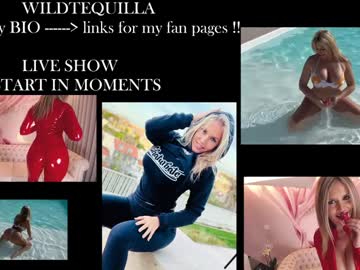 girl Live Cam Sex with wildtequilla