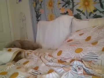 girl Live Cam Sex with sexykittysub